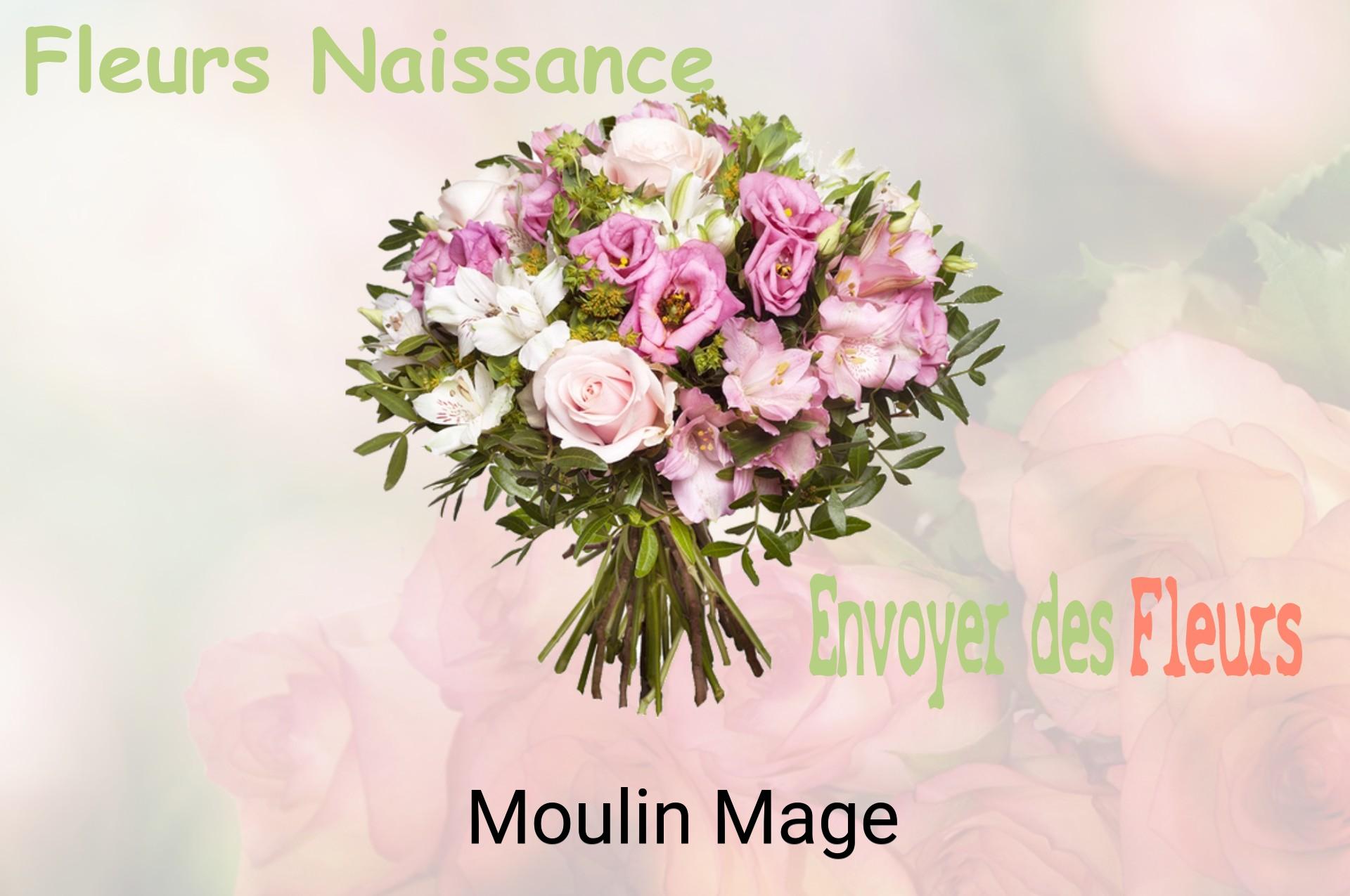 Bouquet de fleurs de naissance livré à Moulin-Mage